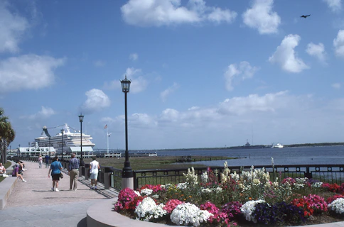 A scenic pathway lined with tropical flowers leading from the cruise port into a charming island village.