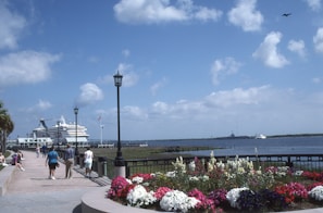 Vibrant tropical flowers and lush greenery lining the path to the disembark port.