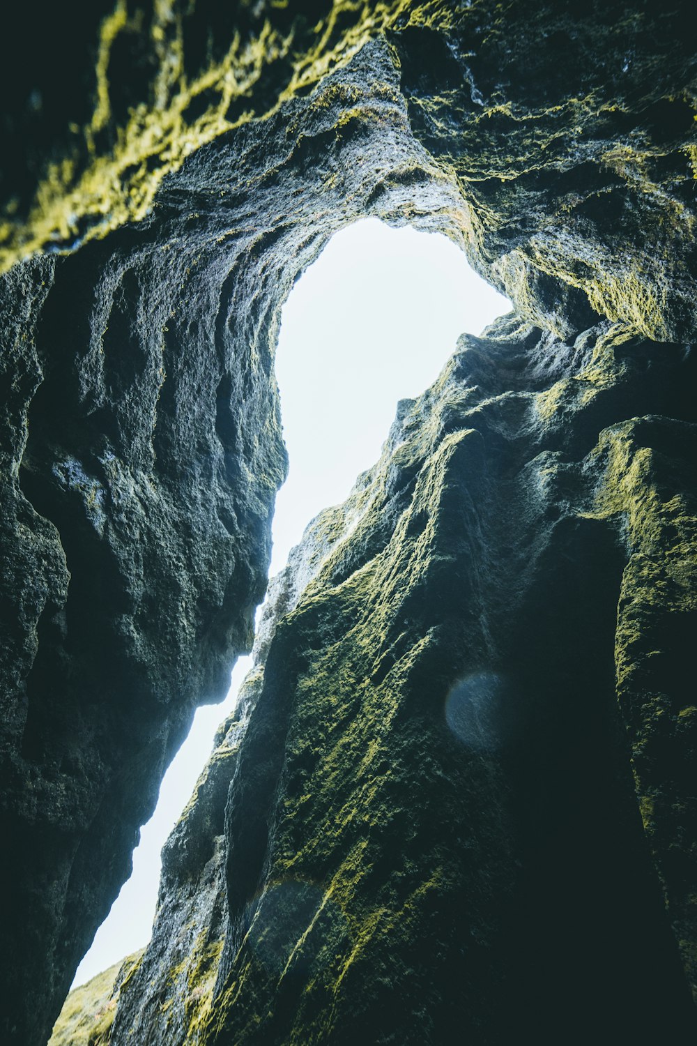 low-angle photography of ravine with moss