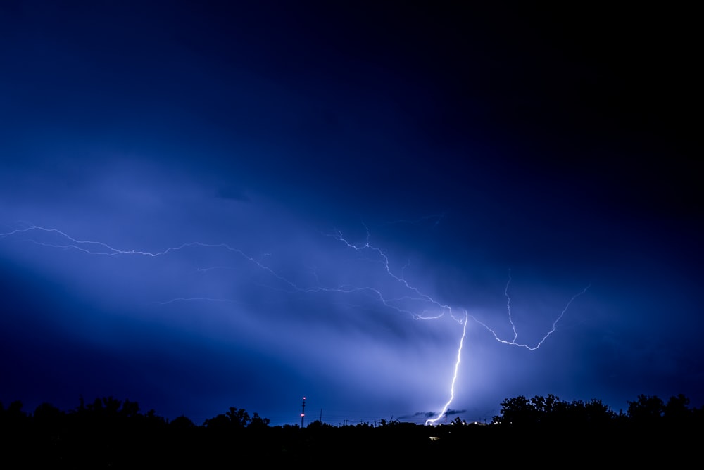 thunder light strike on forest