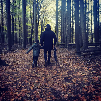 A family walking hand in hand through a sunlit forest in autumn.