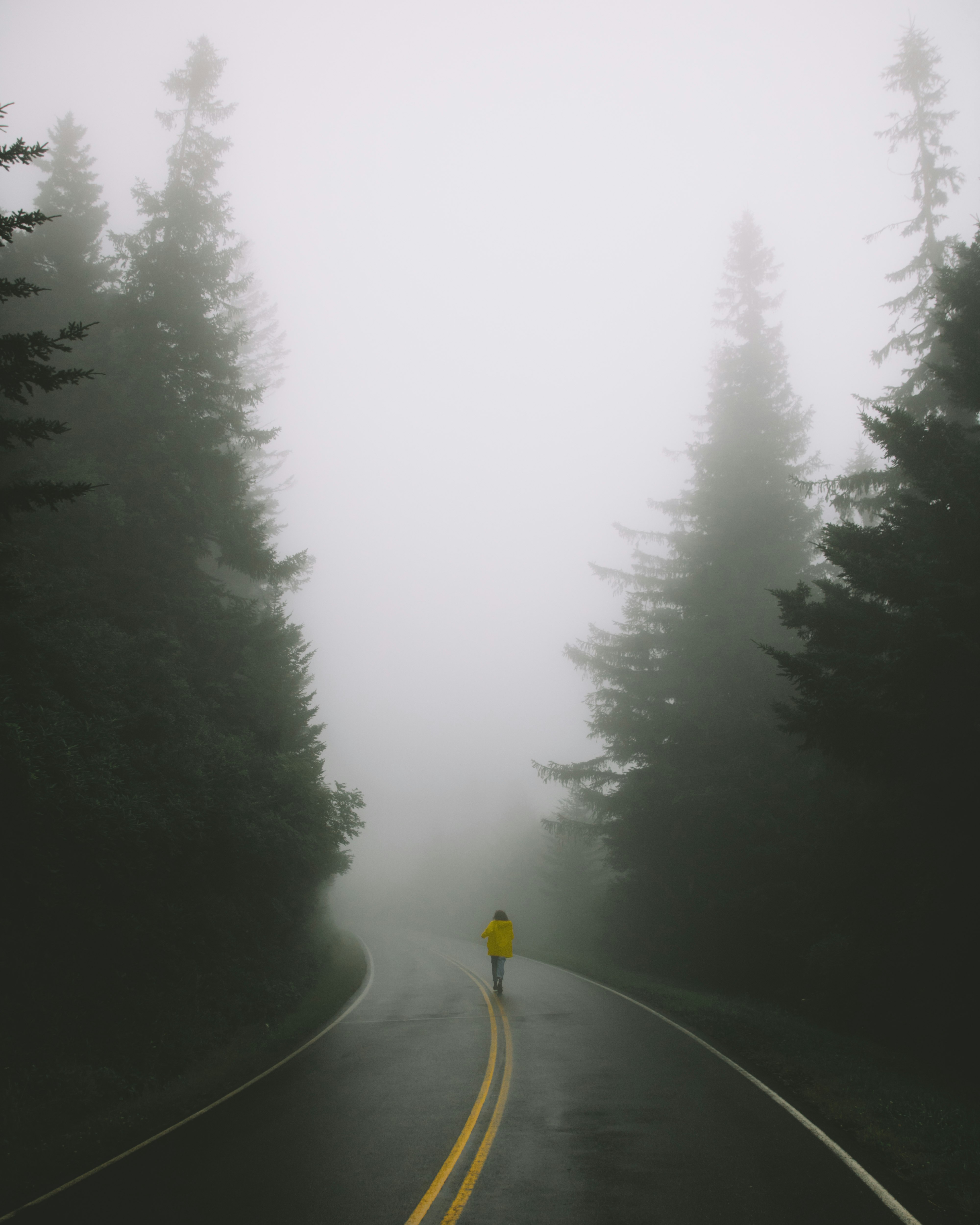 woman wearing yellow jacket standing on road surrounded by pine trees