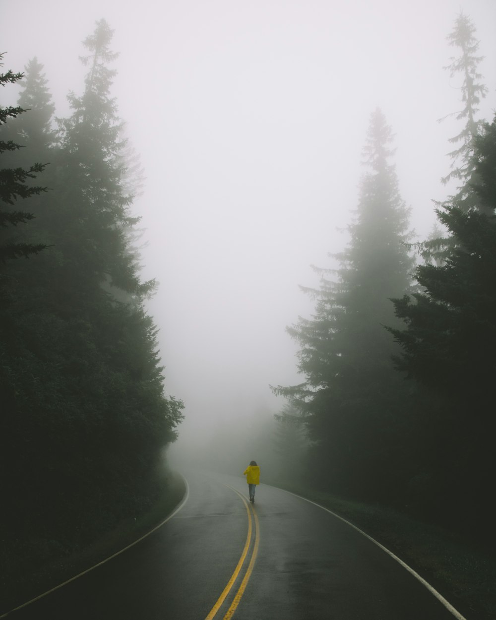 woman wearing yellow jacket standing on road surrounded by pine trees