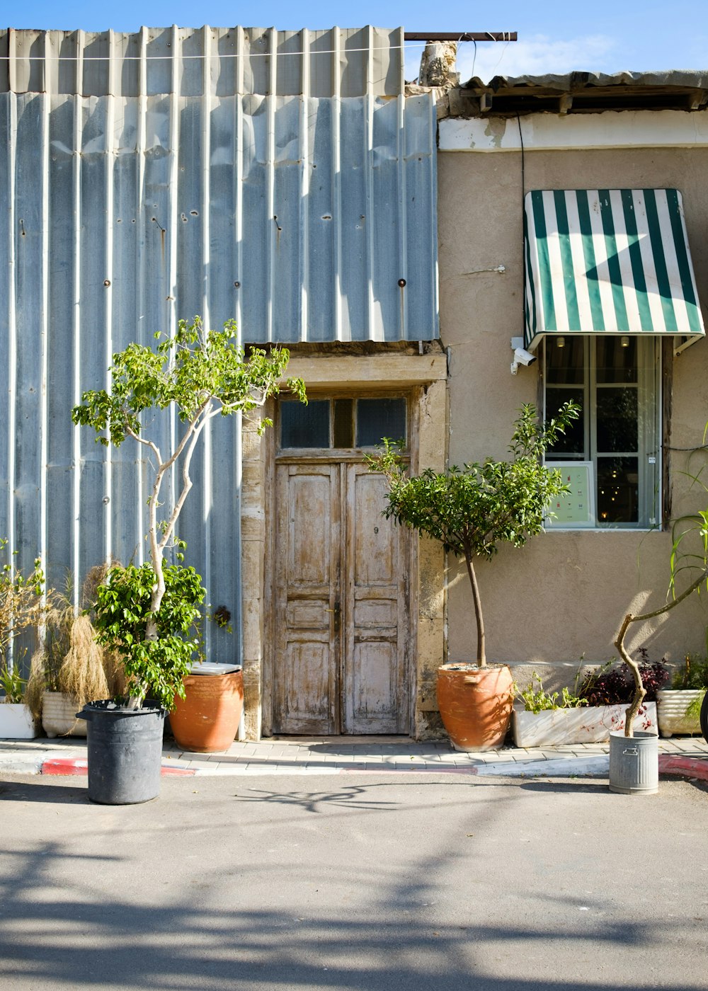 brown wooden door beside potted plants