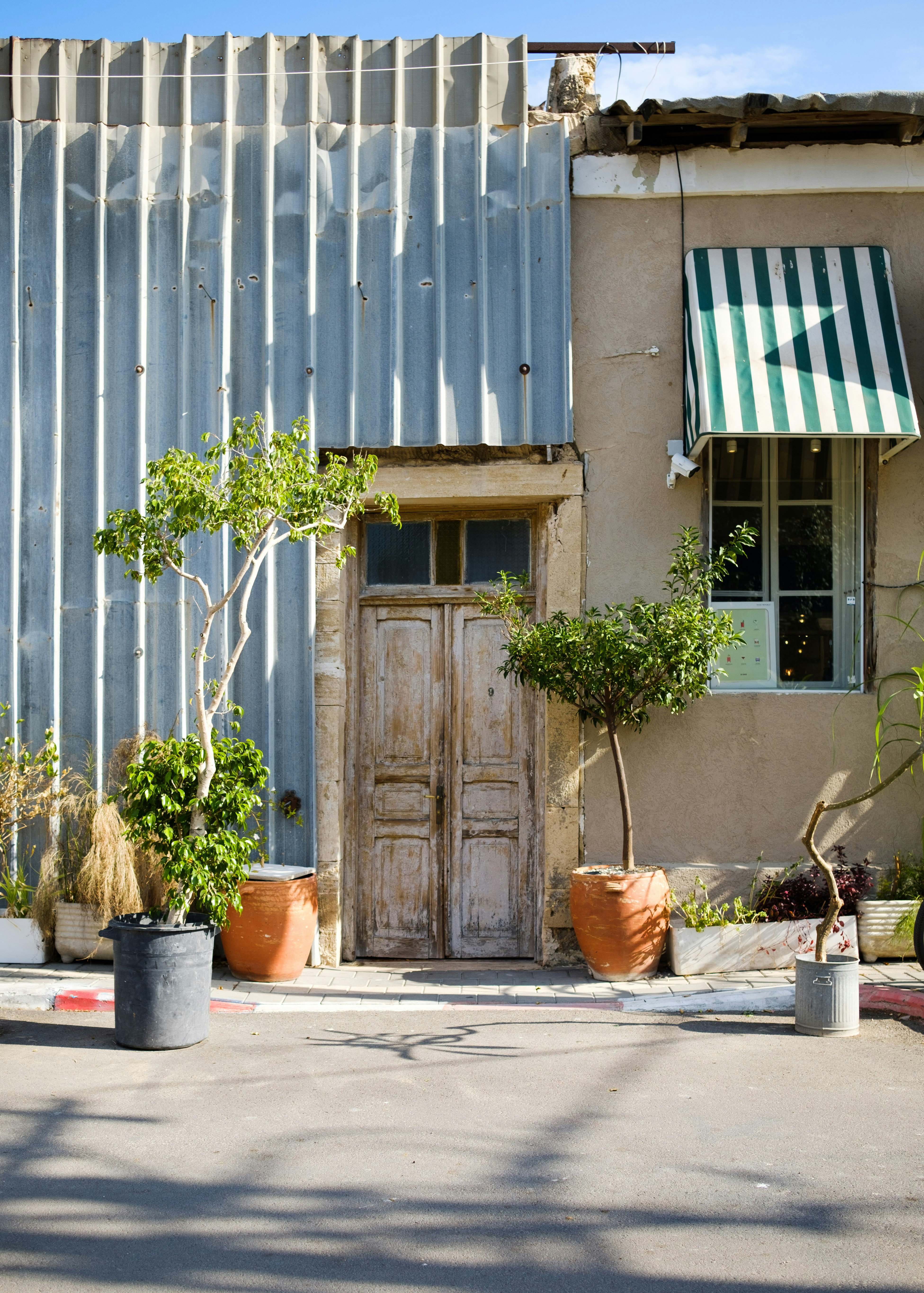 brown wooden door beside potted plants