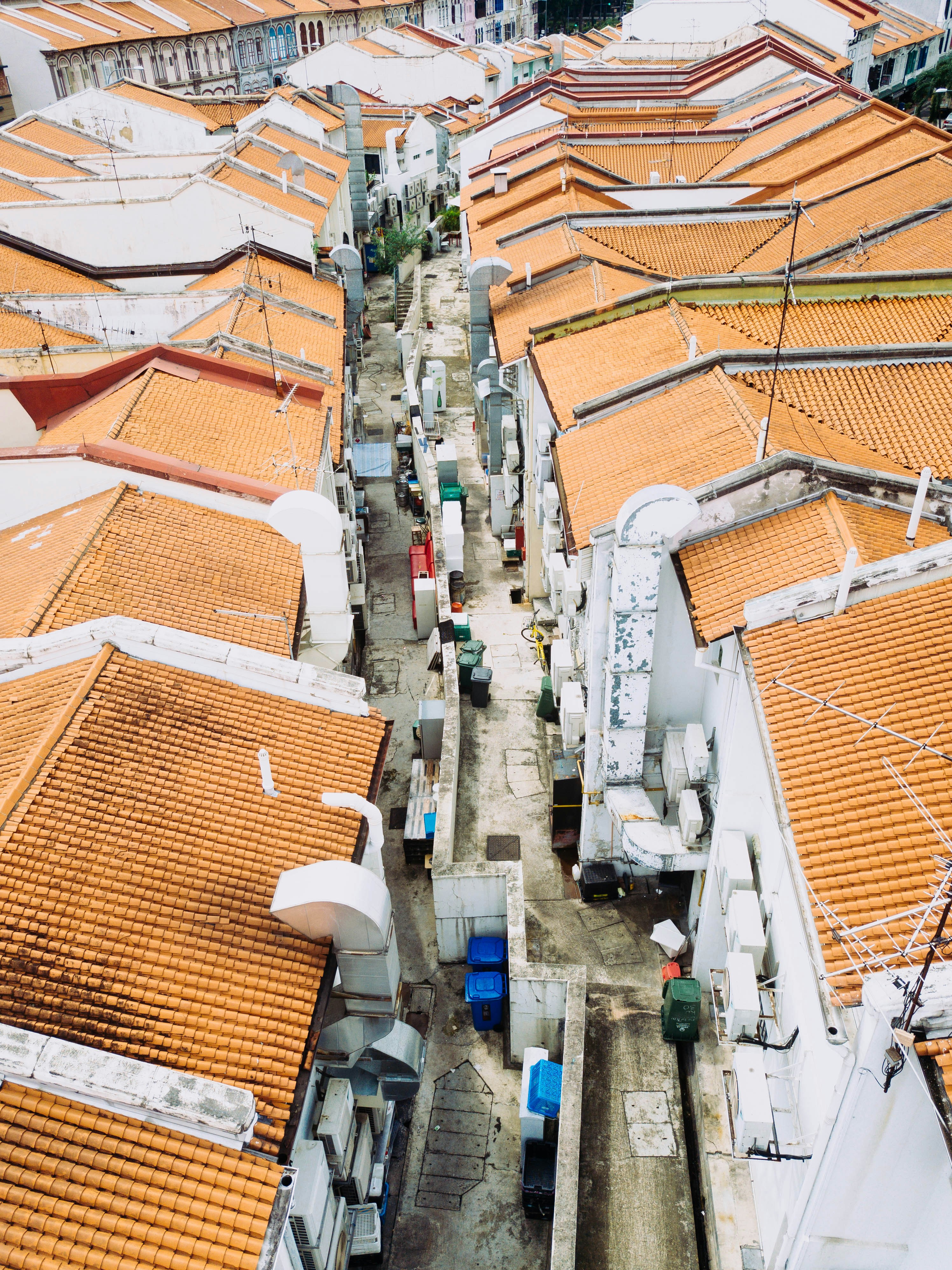 Photo by chuttersnap