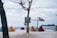 A tranquil beach setting with colorful bean bag chairs arranged on the sand near the water. A small sign attached to a tree humorously states there is no WiFi, encouraging people to talk to each other. A simple canopy made of fabric and straw rests on another pole by the tree, providing some shade. The background features a calm sea and distant land across the water.