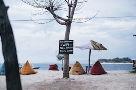 A tranquil beach setting with colorful bean bag chairs arranged on the sand near the water. A small sign attached to a tree humorously states there is no WiFi, encouraging people to talk to each other. A simple canopy made of fabric and straw rests on another pole by the tree, providing some shade. The background features a calm sea and distant land across the water.