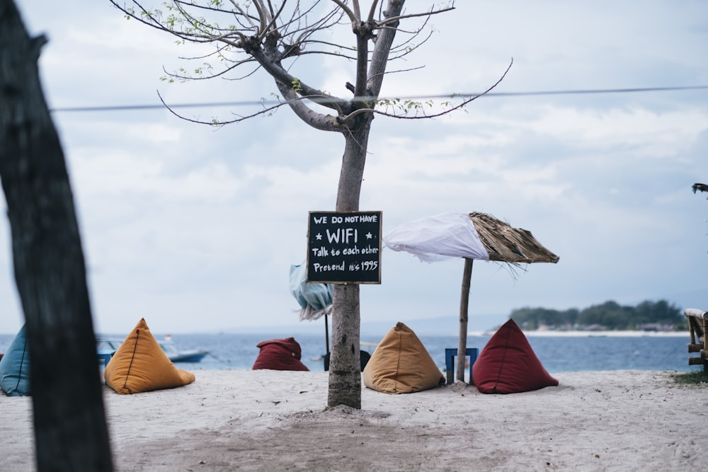 assorted-color bean bags inline in seashore at daytime