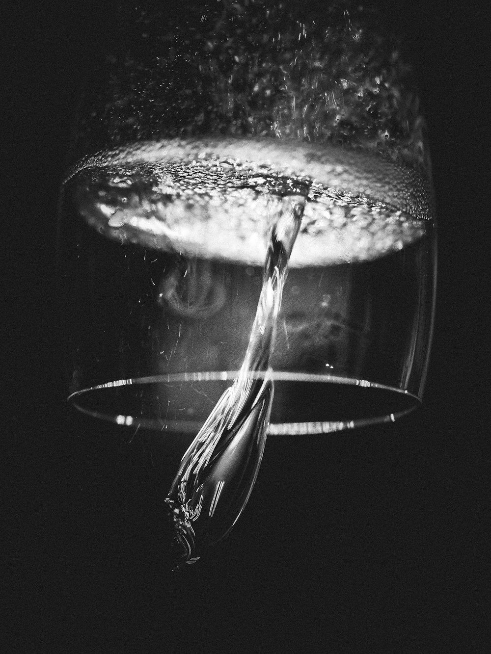 grayscale photo of jelly fish