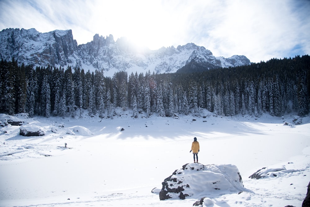 person standing on rack with snow near forest and mountain range