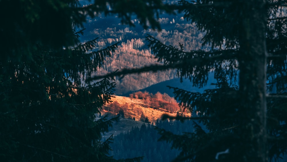 rock mountains between silhouette of trees