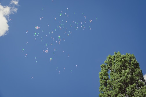 A vibrant picture of a child flying with colorful balloons over a dreamy landscape.