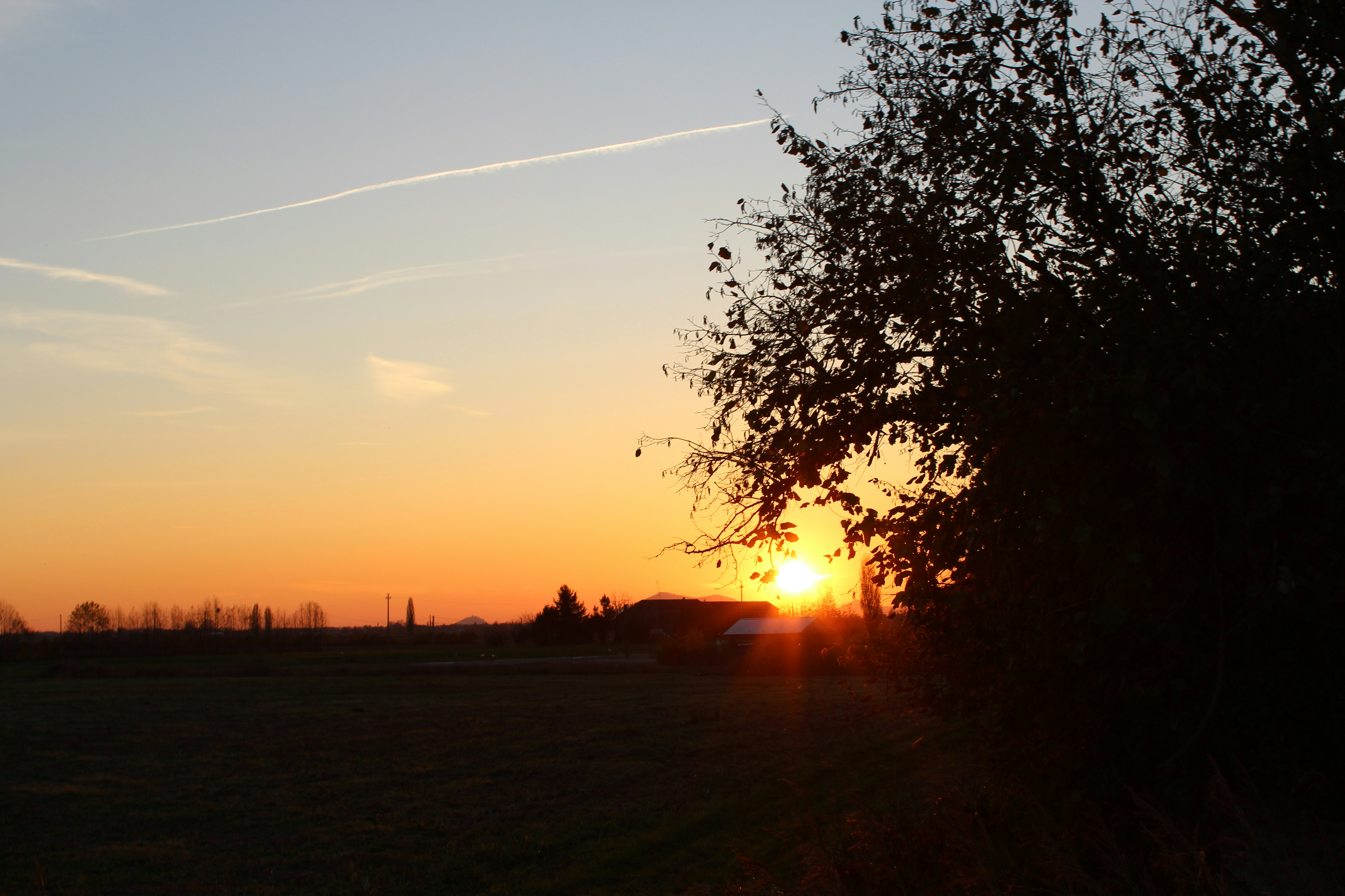 The Linguistic Turn's Challenge: Did Words Replace Reality?