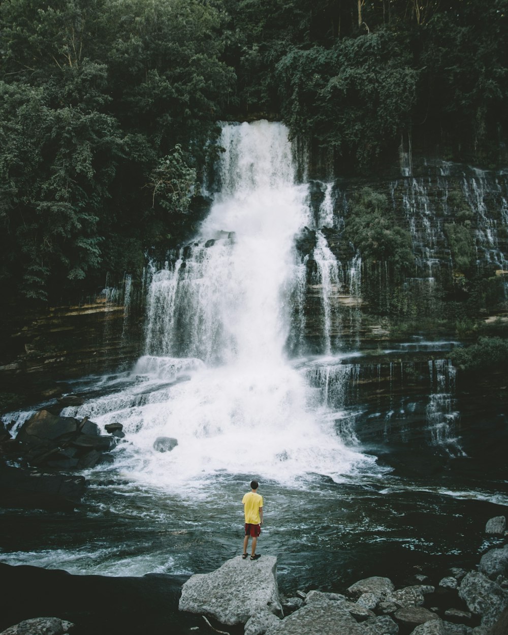 person standing on rock looking at water falls