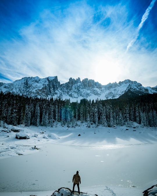 person standing on snow while staring at the forest in Karersee Italy