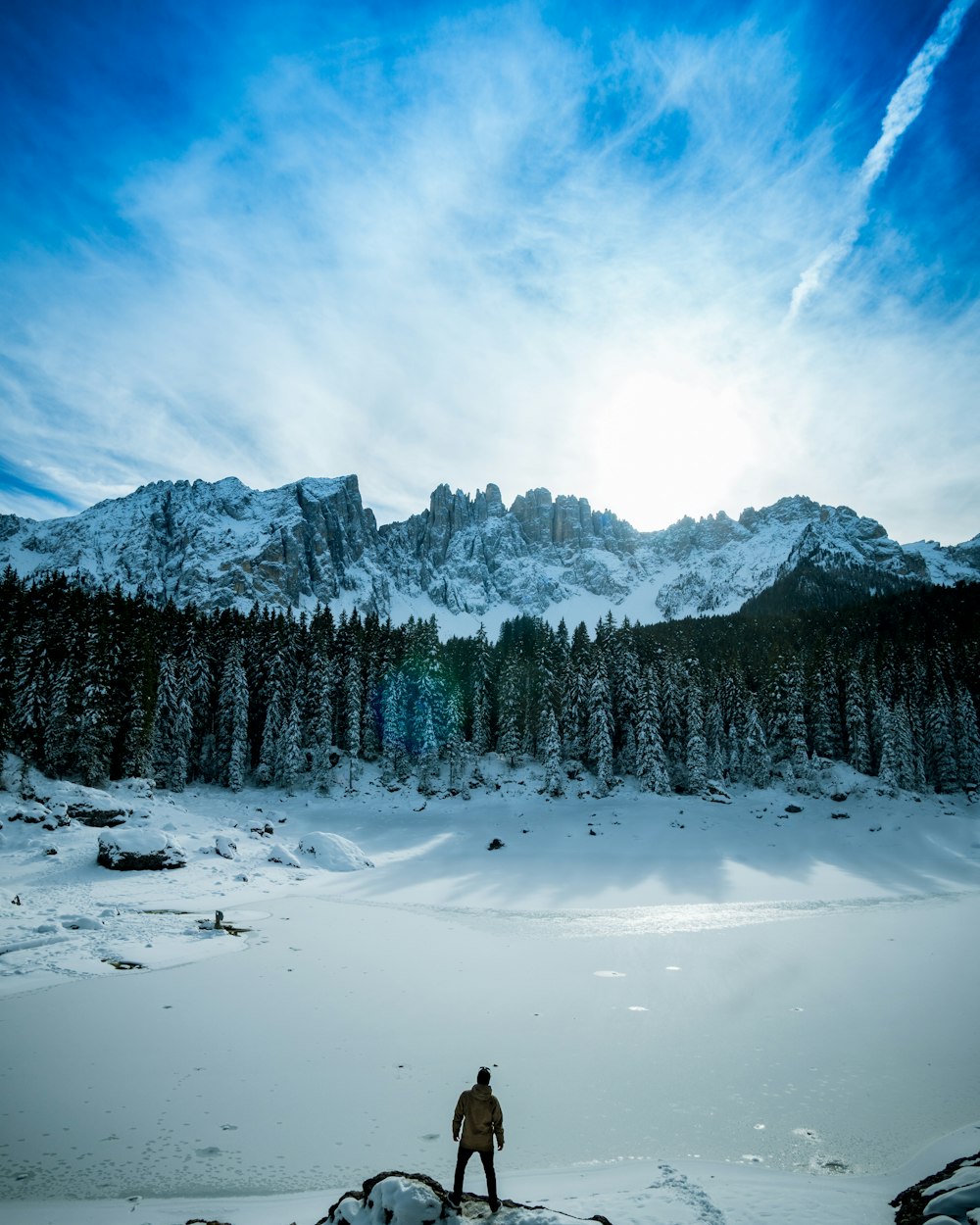 person standing on snow while staring at the forest