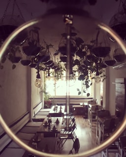 A cozy indoor café with wooden tables and chairs, featuring hanging plants from the ceiling and a large window letting in natural light. The tables are neatly set with napkins and cutlery, creating a welcoming atmosphere.