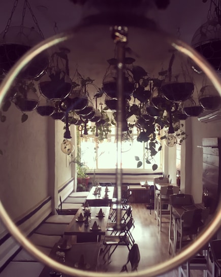 A cozy café setting with wooden tables and vibrant plants.
