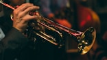 person playing trumpet during night time
