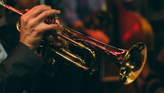 person playing trumpet during night time
