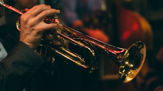 person playing trumpet during night time