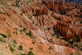 A breathtaking view of a natural amphitheater with rugged, red rock formations and spire-shaped hoodoos. Sparse vegetation with green pine trees contrasts against the deep orange and pinkish hues of the eroded canyon walls under clear skies.