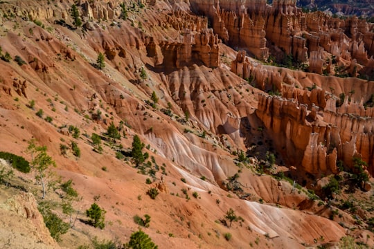Bryce Canyon National Park, Utah in Bryce Canyon National Park United States