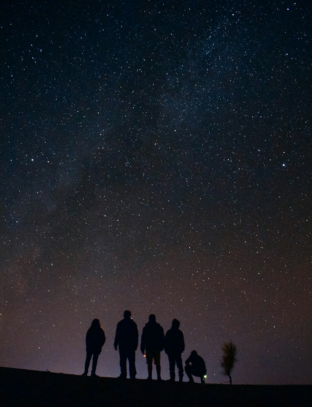 Silhouette von fünf Personen, die nachts in die Sterne starren
