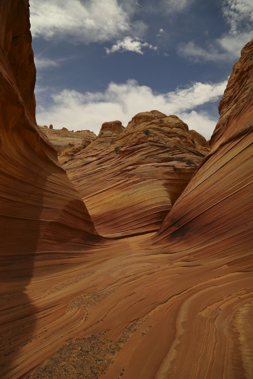 Foto de paisaje del desierto