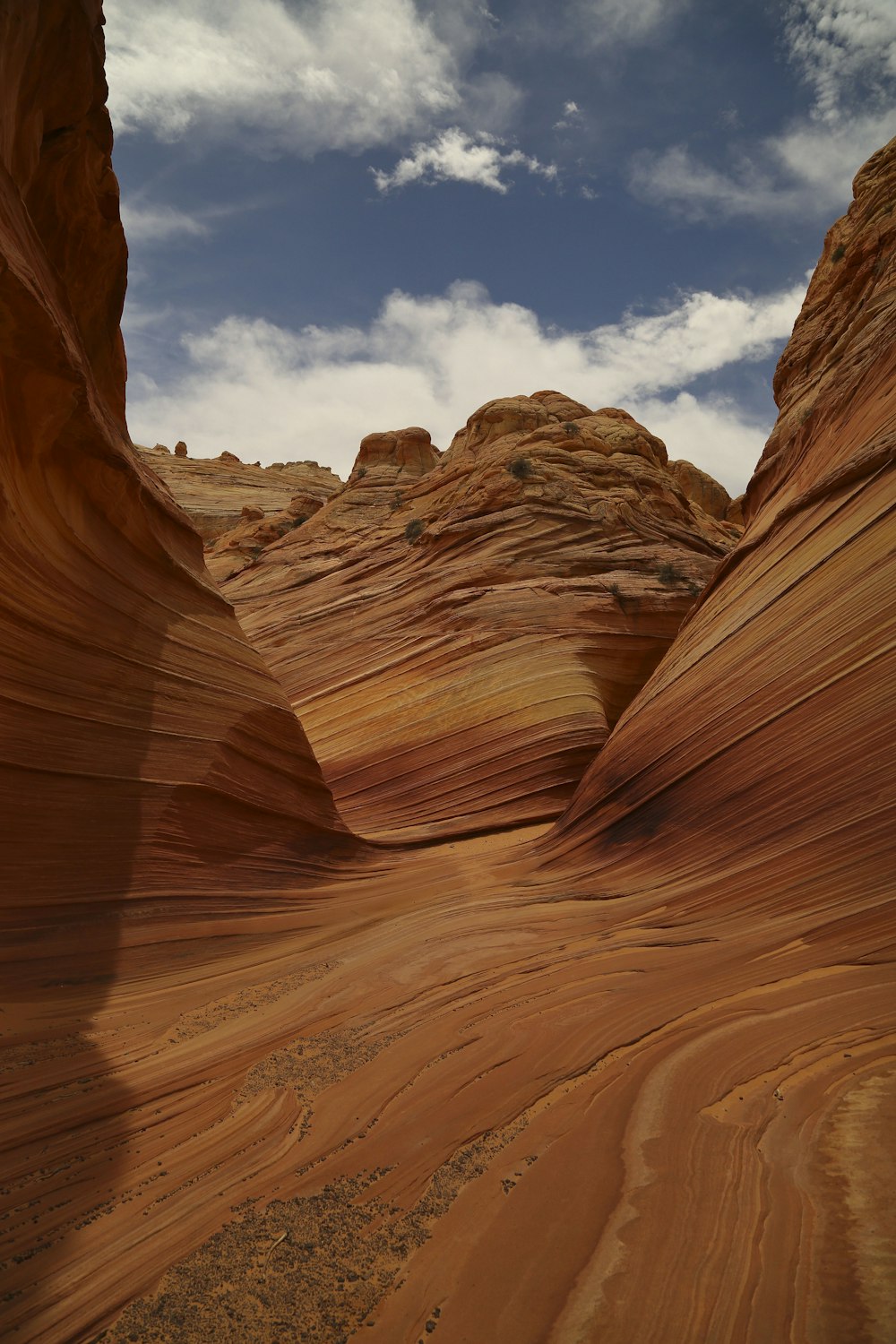 landscape shot of desert