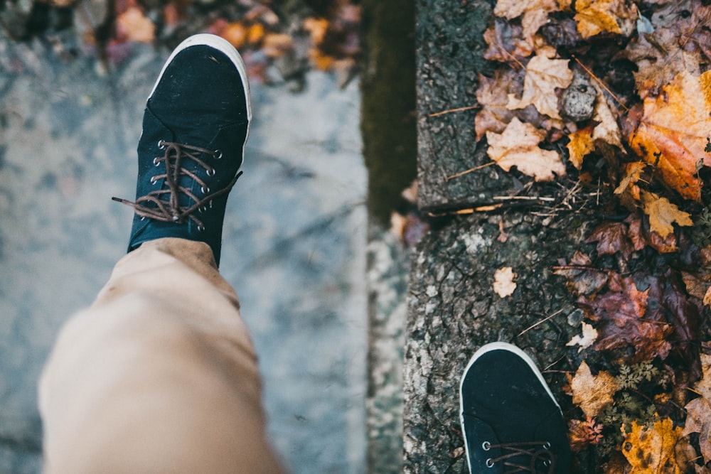 person stepping on withered leaf