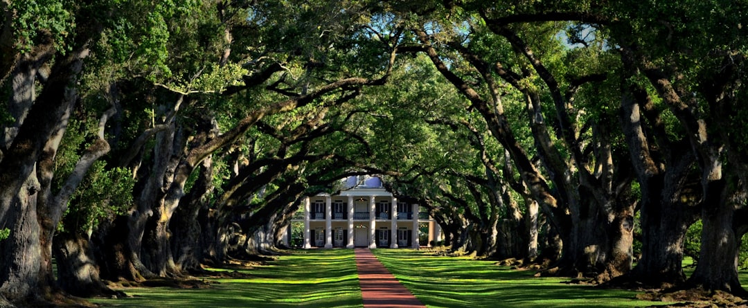 Uncovering the Hidden History in Savannah, Georgia - Tour Savannah'… — Uncovering the Hidden History in Savannah,