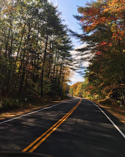 A winding mountain road cutting through vibrant autumn forests under a clear blue sky.