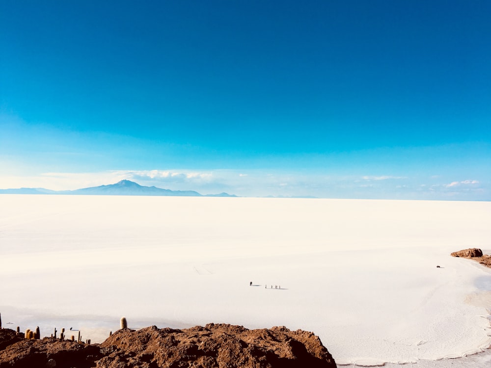 Fotografía de paisaje de campo nevado