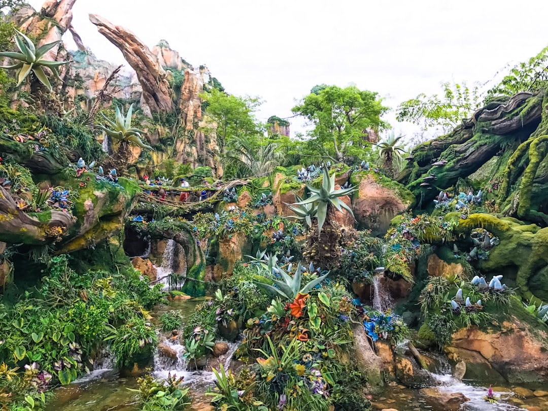 forest illustration wallpaper, One of the many stunning views from the world of Avatar in Disney’s Animal Kingdom. It tr