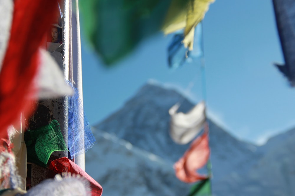 a bunch of flags that are flying in the air