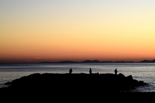 Marina di Cecina things to do in Spiagge Bianche Rosignano