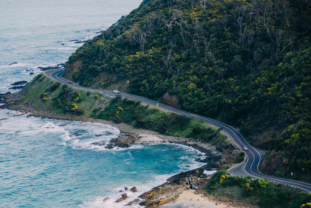 Carretera costera de la Great Ocean Road entre árboles