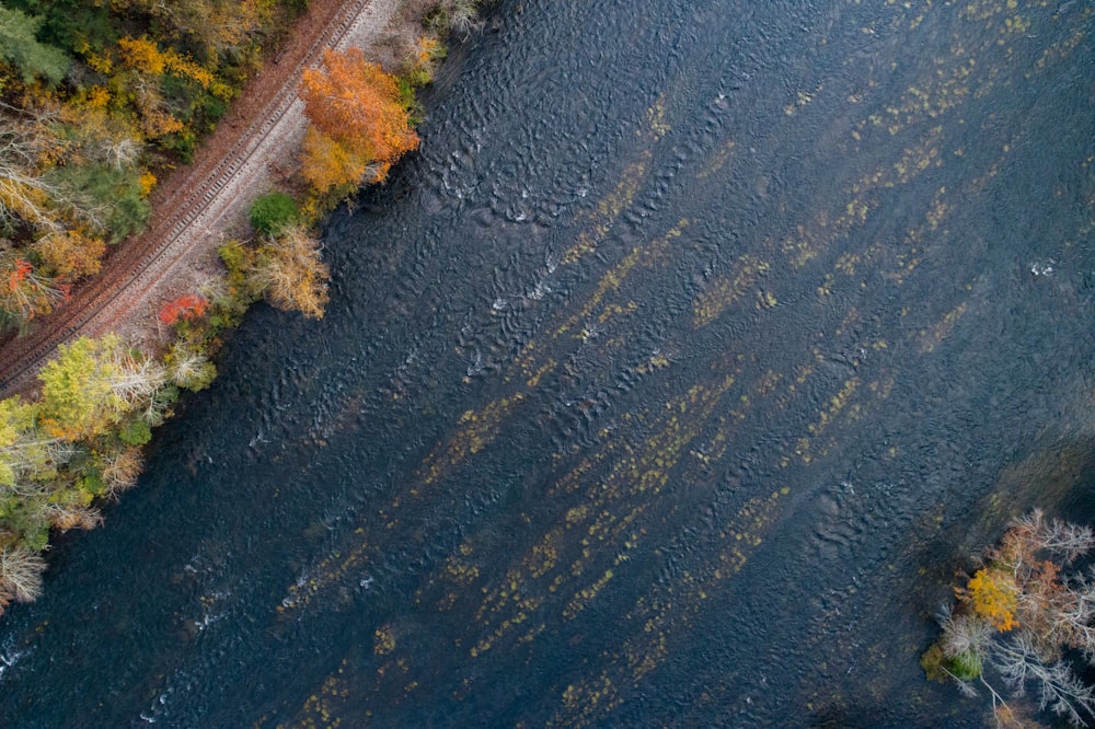 aerial photography of blue river