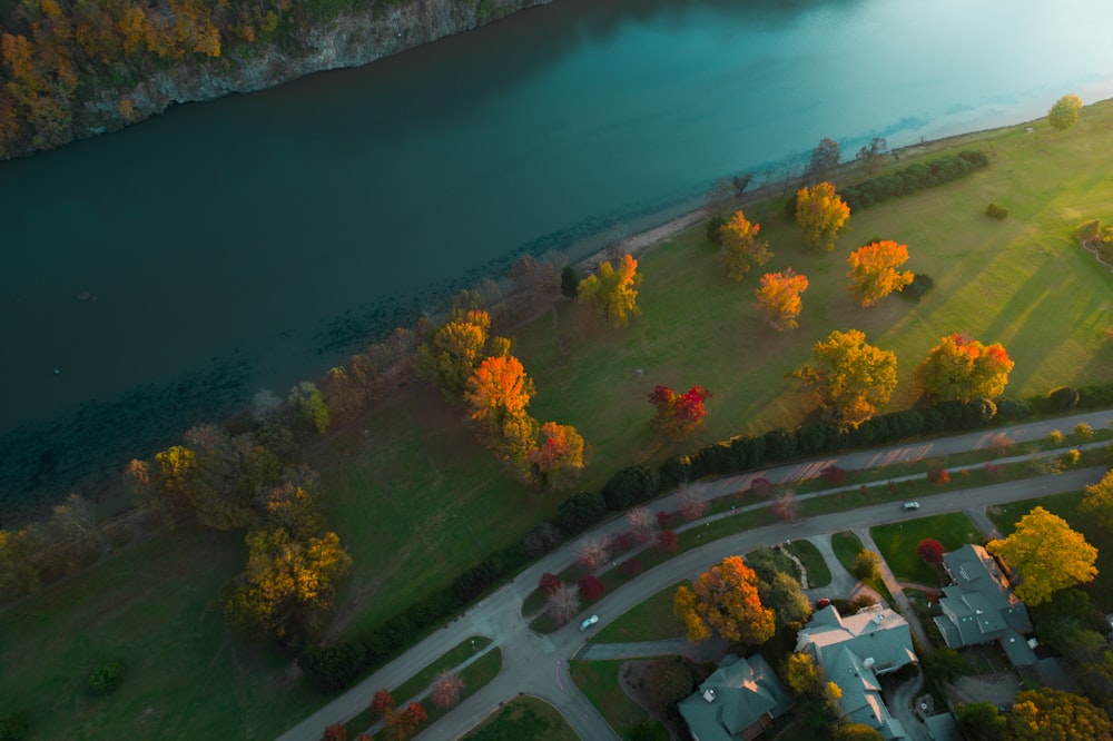 aerial photography of road and body of water