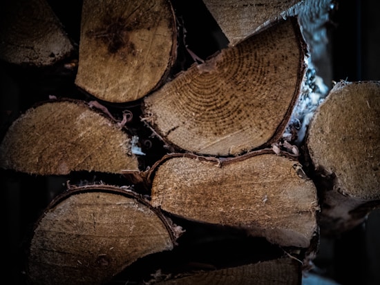 Several pieces of cut firewood are stacked closely together. The wood shows visible rings and rough textures, indicating freshly chopped logs. The lighting creates a warm and rustic ambiance.