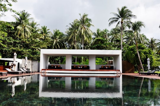 swimming pool surrounded by trees in Ko Pha Ngan Thailand