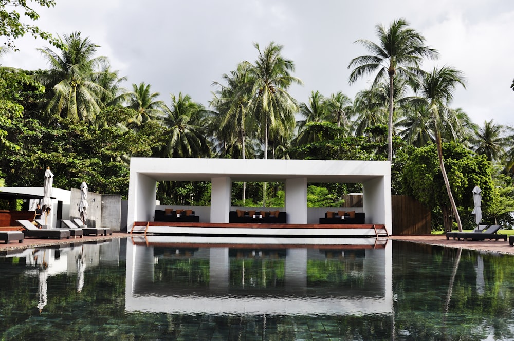 swimming pool surrounded by trees