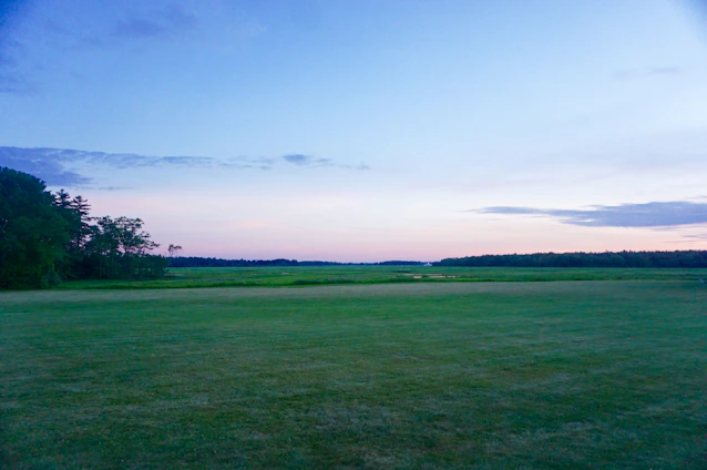 A serene prairie landscape at dawn with soft green and blue hues symbolizing hope and health.