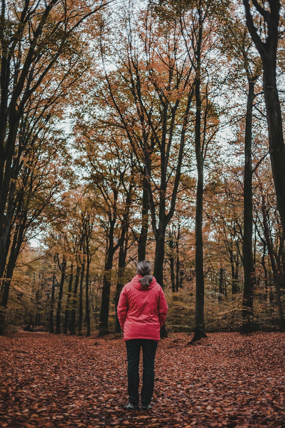woman standing between bare trees
