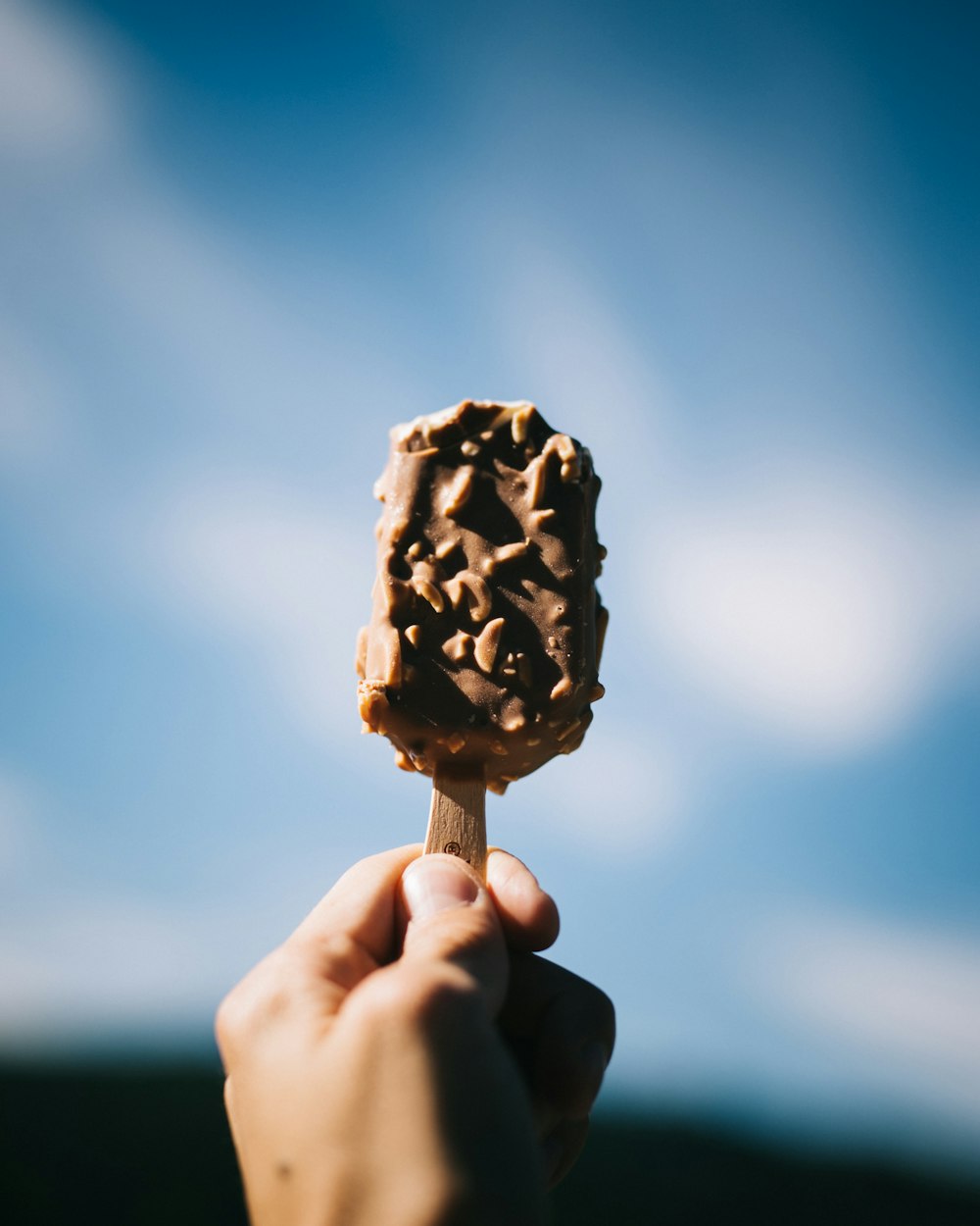 person holding popsicle