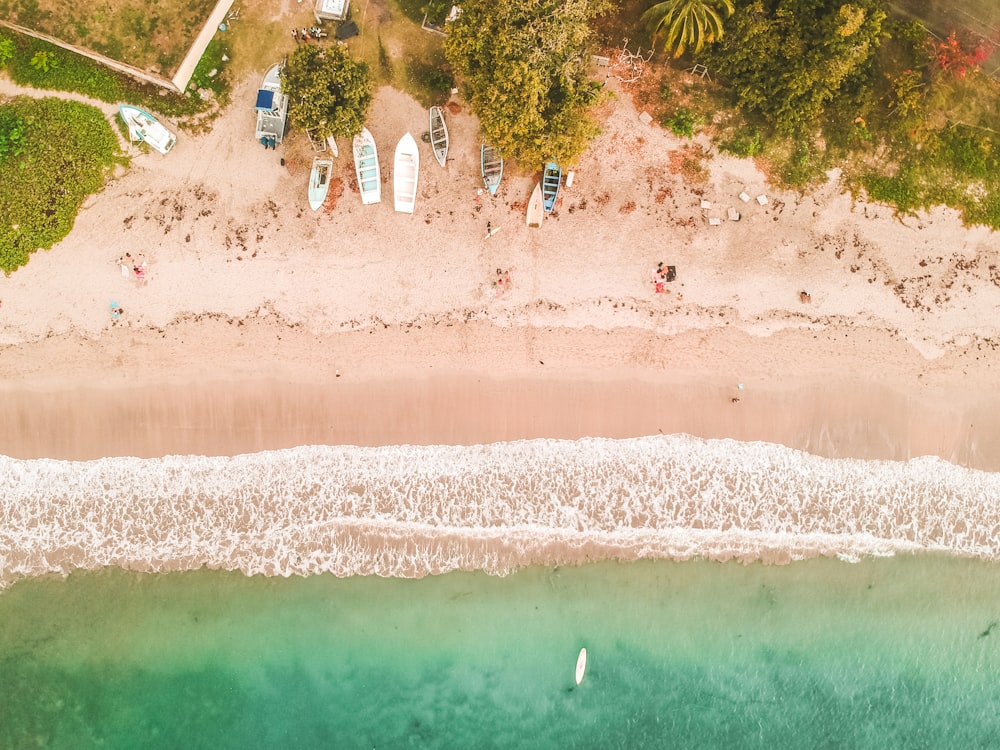 bird's eye view of seashore