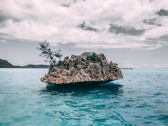 rock on body of water