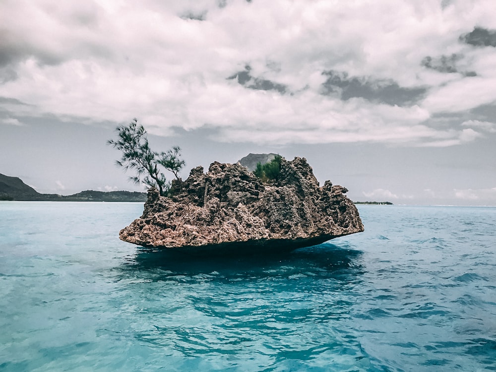 rock on body of water